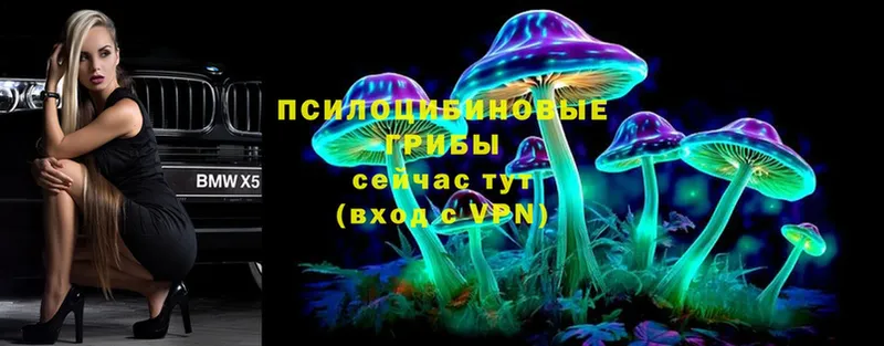 цены   Николаевск-на-Амуре  МЕГА   Псилоцибиновые грибы ЛСД 